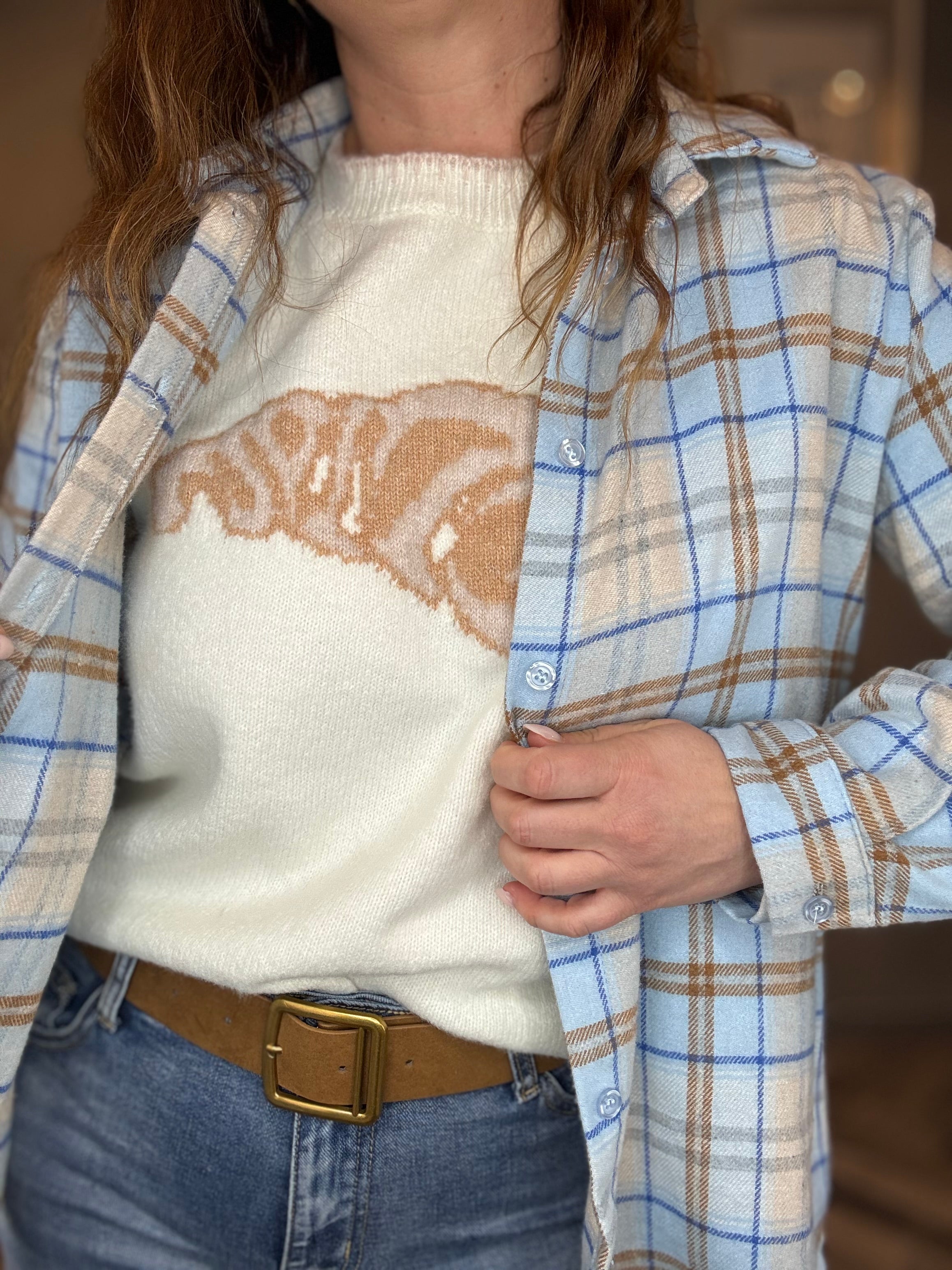 Camicia flanella check celeste
